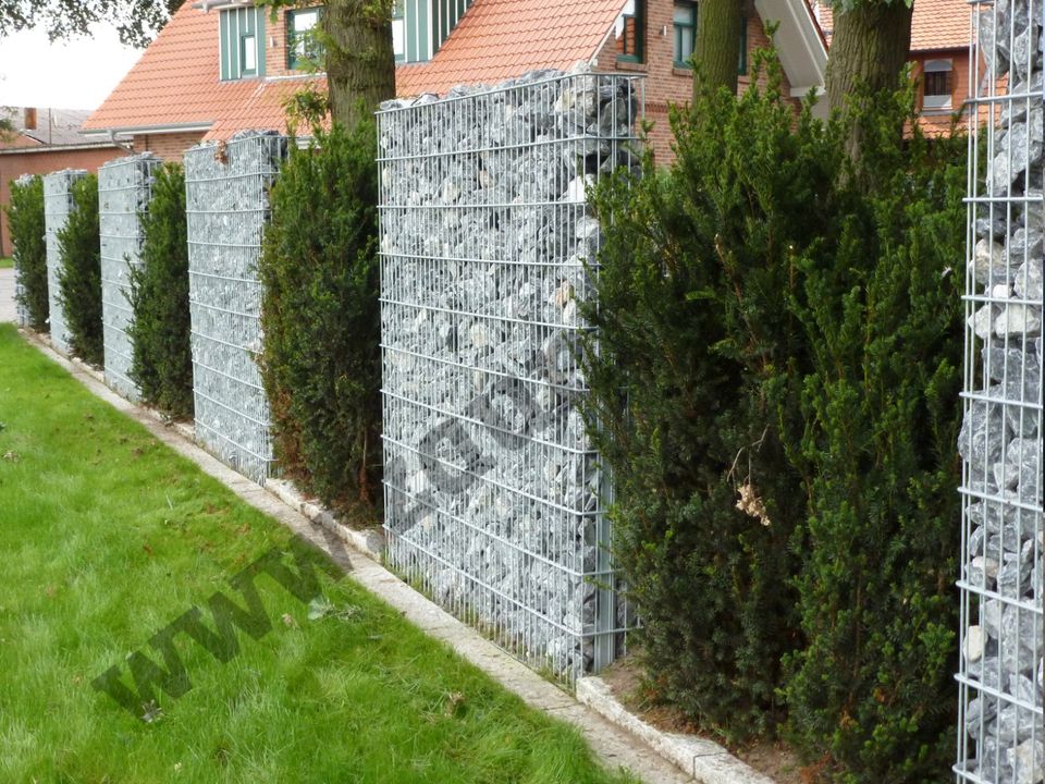 #23: Gartenzaun Doppelstabmatte Gabionen Sichtschutz Zaun Matte in Harpstedt