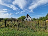 (ACA-) Außergewöhnliches Grundstück mit Quelle, altem Baumbestand etc in UNGARN Niedersachsen - Bad Zwischenahn Vorschau