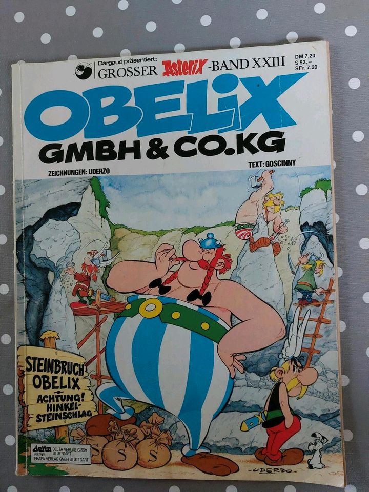 Asterix Comic Hefte 4 Stück in Schortens