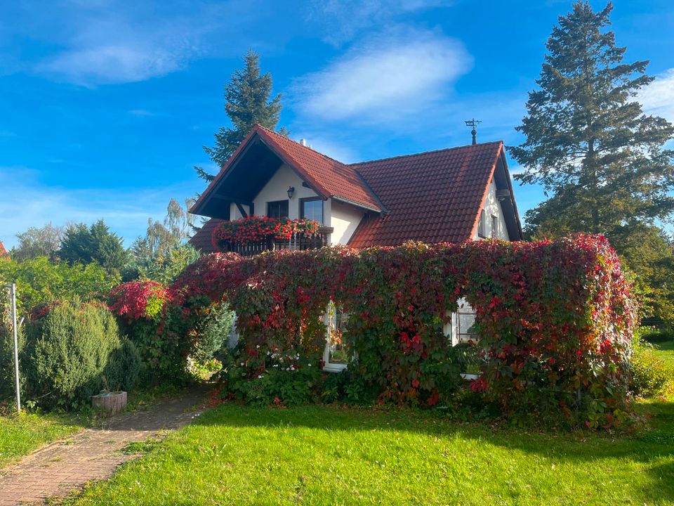 Freistehendes Einfamilienhaus mit Garten Bestlage Halle-Dölau in Halle