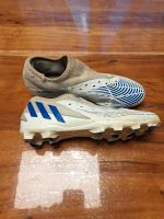 Fussballschuhe Adidas  Predator 43 1/3 Bayern - Bruckberg bei Landshut Vorschau