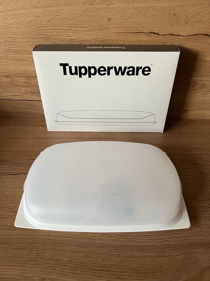 Tupperware FrischeMax flach für Käse NEU und Originalverpackt in Frankenthal (Pfalz)