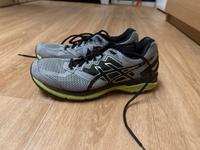 asics Schuhe 43,5 Hessen - Flörsheim am Main Vorschau