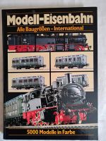Modell-Eisenbahn Alle Baugrößen International Buch Thüringen - Buttstädt Vorschau