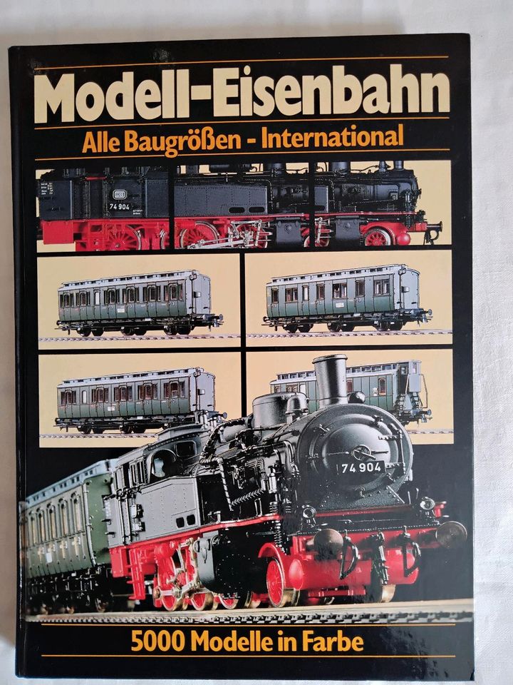 Modell-Eisenbahn Alle Baugrößen International Buch Modellbau in Buttstädt
