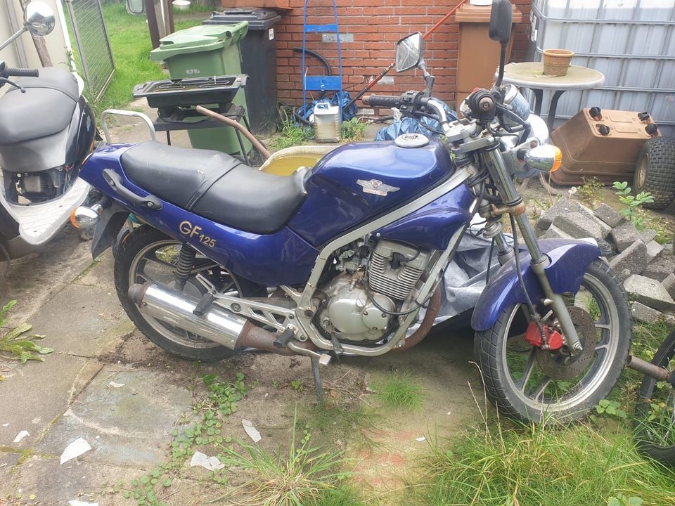 Hyosung GF 125 Sitzbank in Thedinghausen