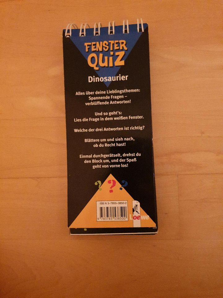 Fenster Quiz Dinosaurier in Waltenhofen