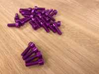 4x Purple 3DV Aluminium Flaschenhalter Schrauben kult retro MTB Niedersachsen - Wunstorf Vorschau