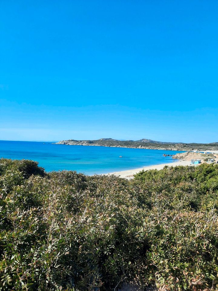 Ferienhaus Ferienwohnung Sardinien Norden 800 m StrandFerienhaus in Holzhausen an der Haide