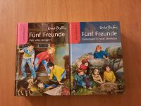 Fünf Freunde Enid Blyton Sammelband 1 und 2 Buch Leipzig - Dölitz-Dösen Vorschau