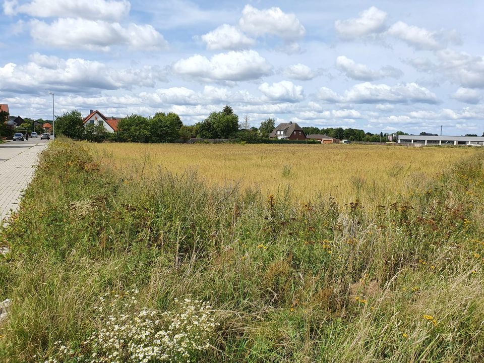 Ein Bungalow, der begeistert im kommenden Baugeb. in Meinersen. in Meinersen