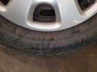 195/65R15 95T Michelin Alpin 6 Komplettradsatz Stahl Rheinland-Pfalz - Trier Vorschau