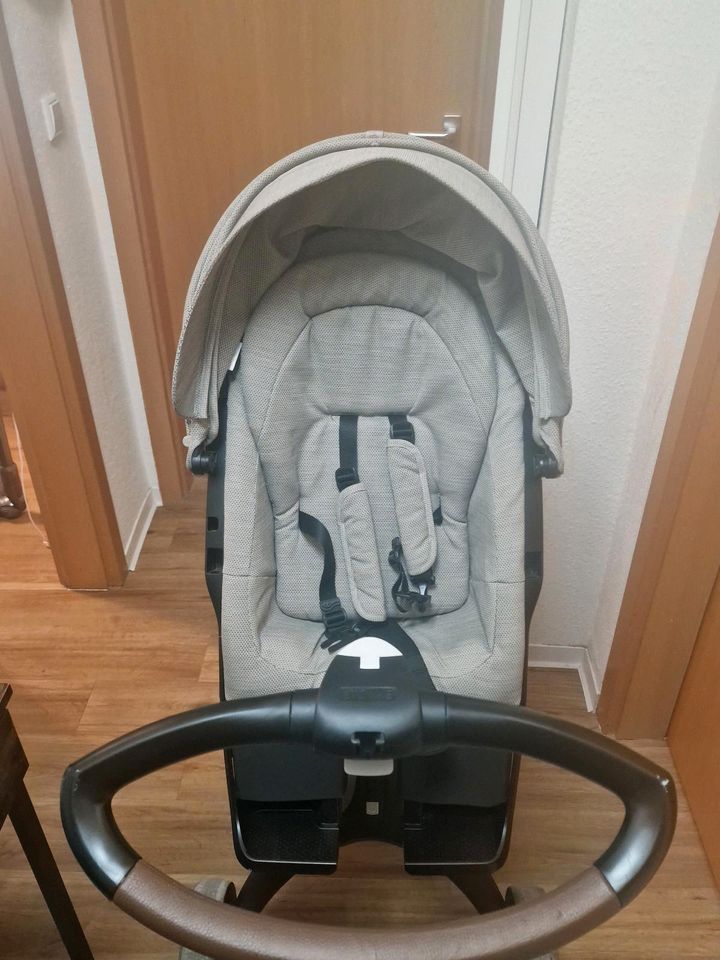 Stokke Xplory V6 in Stuttgart