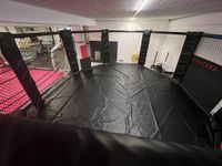 MMA Cage Octagon Rheinland-Pfalz - Koblenz Vorschau