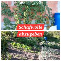 Schafwolle EM Dünger Baden-Württemberg - Seebach Vorschau