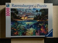 Ravensburger Puzzle 19145 bunte Unterwasserwelt mit Delfinen Niedersachsen - Hemsbünde Vorschau