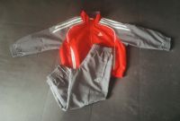 Adidas Jogginganzug Gr 110 Thüringen - Riethnordhausen Vorschau