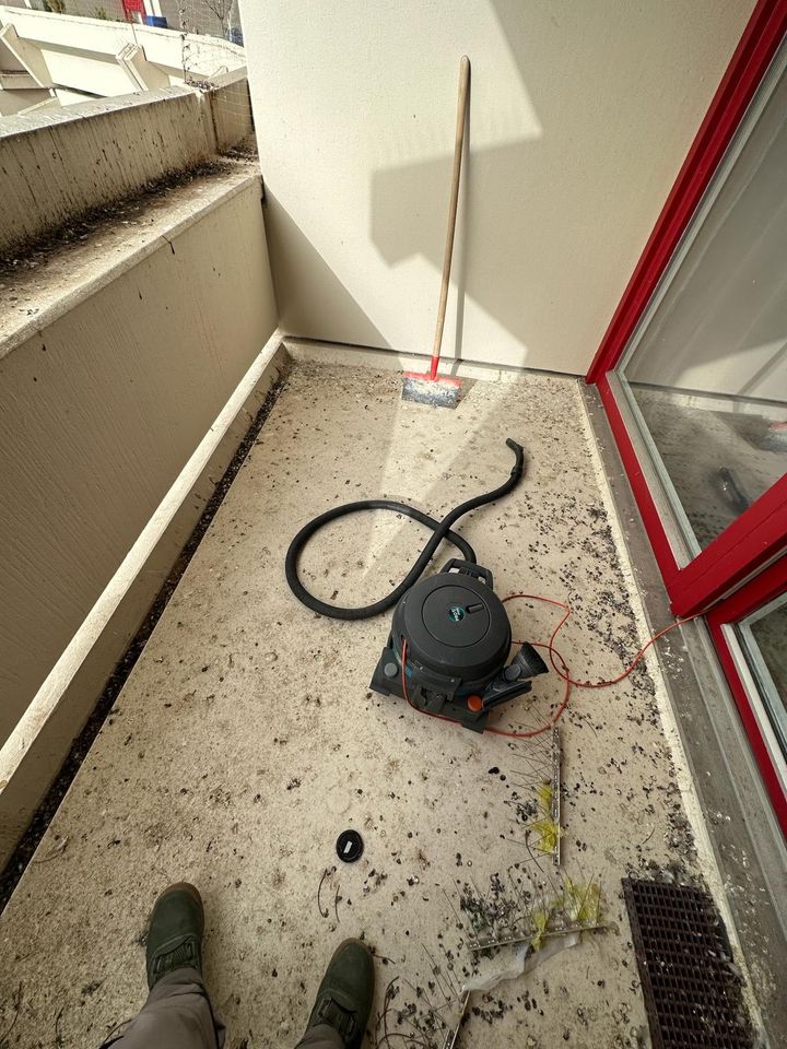 Reinigung Treppen/Teppichrein Hallenreinigung Haushaltsauflösung in München