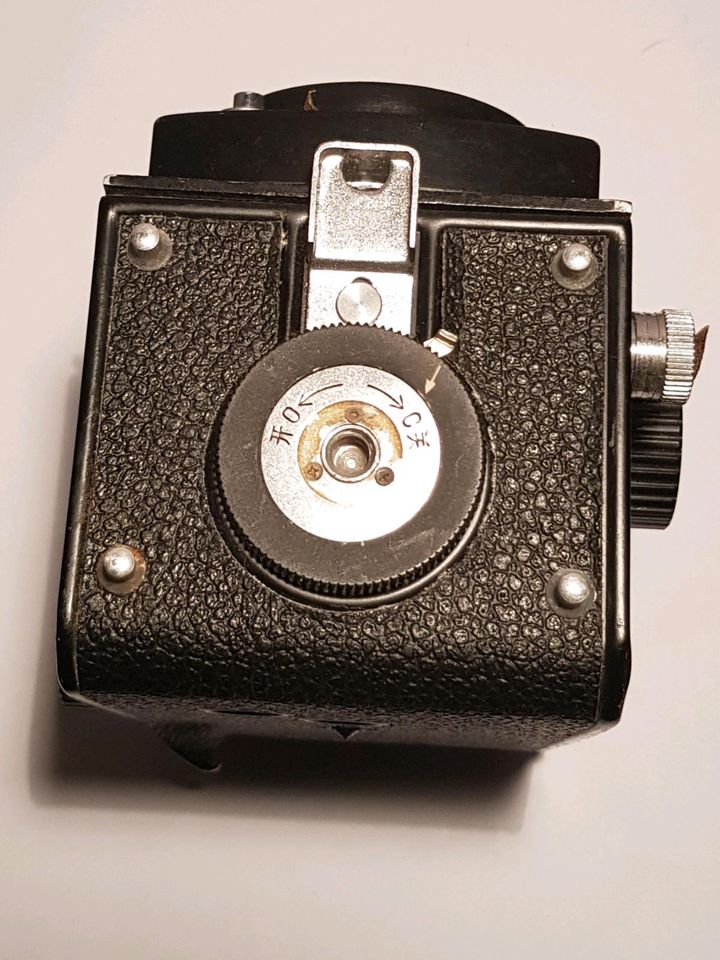Seagull 6×6 Mittelformat Kamera in Göttingen
