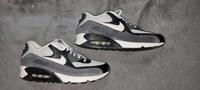 Nike Air Max 90 Essentials Hessen - Kassel Vorschau