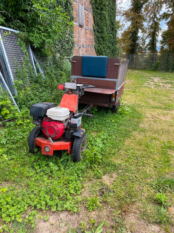 Einachsige Trecker mit Kippanhänger in Lüttgenrode