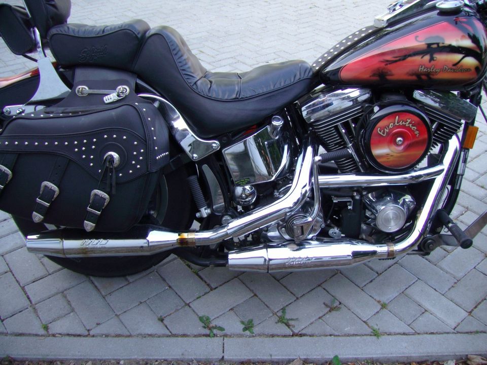 Harley Davidson Softail mit Springergabel in Berlin