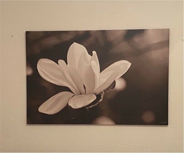 Großes IKEA Bild mit Blume in Köln