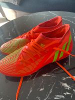 Adidas predator edge.3  größe 42 Rheinland-Pfalz - Ludwigshafen Vorschau