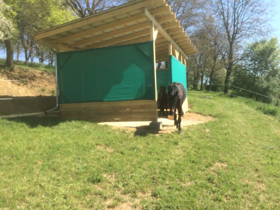 Hütte / Stall / Carport in Haldenwang