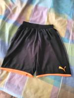 Puma  Training Shorts Hannover - Herrenhausen-Stöcken Vorschau