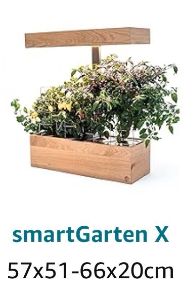 smart Garden X SimplePlant Kräuter Gemüse Indoor Holz Gewächshaus in Gronau (Westfalen)
