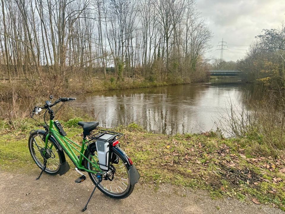 Utopia velo Modell „Kranich“ e-bike Rahmenhöhe 50 in matt grün in Dormagen