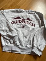 H&M Pullover Harry Potter Quidditch * Gr. 152 in grau Bayern - Wertingen Vorschau