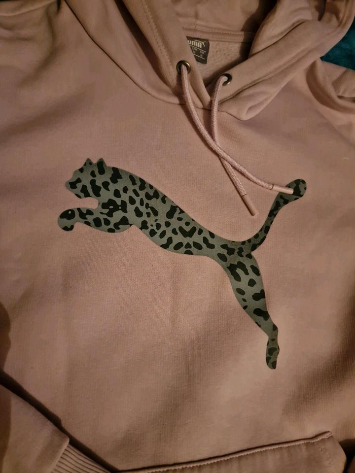 Puma Pullover Gr. XL in Greiz