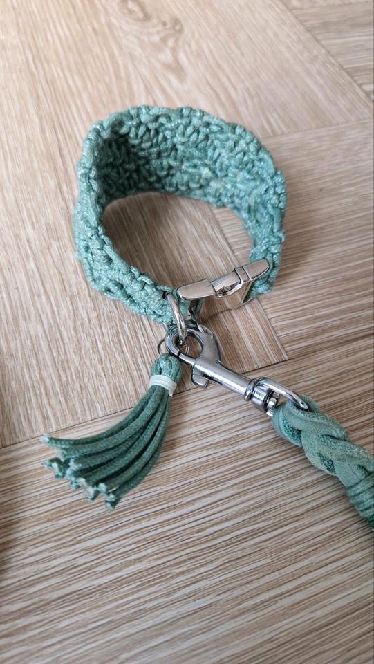 Halsband und Leine für Windspiel sehr klein mint in Magdeburg