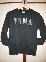 Puma Sweater Pullover Gr. XS 34 Baden-Württemberg - Lahr (Schwarzwald) Vorschau