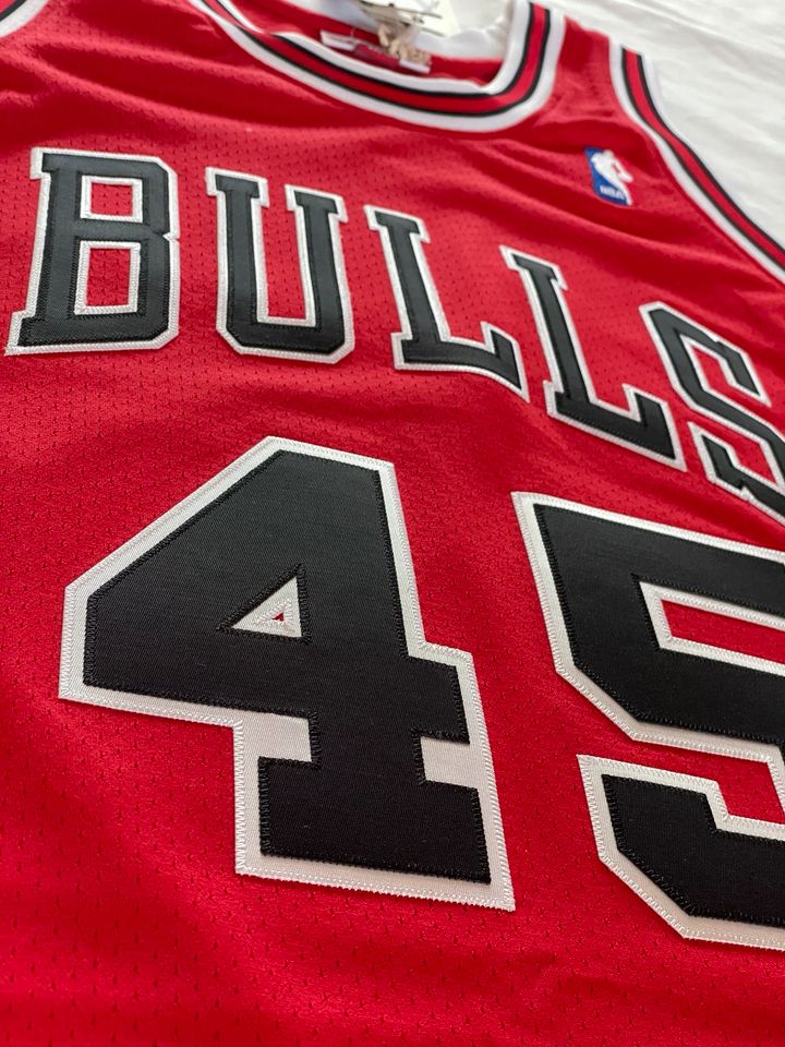 Michael Jordan Chicago Bulls 1994-95 45 NBA Authentic Jersey Nike in Berlin