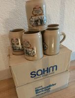 12 Bierkrüge Brunnenfest Schlüchtern 1986 Hessen - Bruchköbel Vorschau