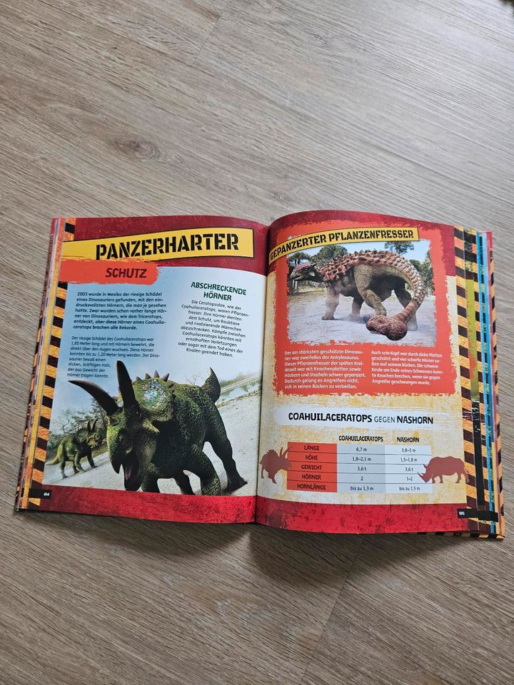 Favorit - Das gefährliche Dinosaurier Buch * wie NEU * in Teistungen