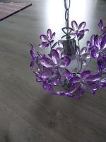 Hängelampen Lila mit Blüten Niedersachsen - Bovenden Vorschau