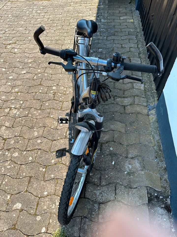PEGASUS Fahrrad in Salzhemmendorf