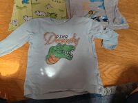 Kleiderpaket Dinos 3 Longsleeves etwa 104 Hessen - Friedrichsdorf Vorschau