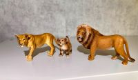 Schleich Löwenfamilie Nordrhein-Westfalen - Stemwede Vorschau