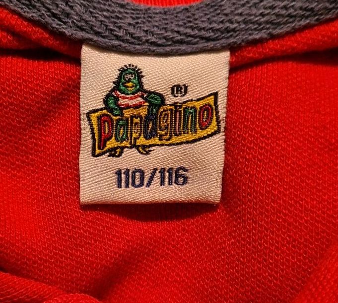 Kinder Jungen Poloshirt Größe 110 / 116 Papagino in Siek