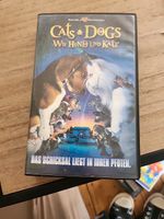 VHS Cats & Dogs Rheinland-Pfalz - Münstermaifeld Vorschau