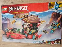 LEGO Ninjago Ninja-Flugsegler im Wettlauf mit der Zeit 71797 Baden-Württemberg - Bad Wildbad Vorschau