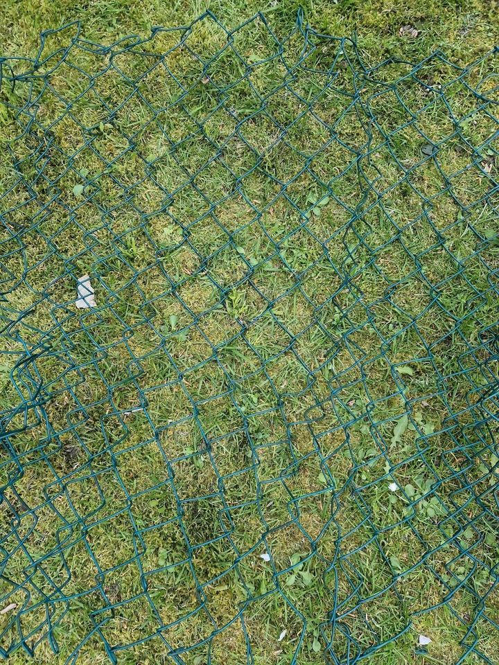 Maschendrahtzaun Viereckgeflecht  2x jeweils 1 x 1,50m in Hamburg