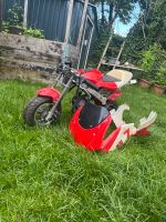 PocketBike 49ccm Nordrhein-Westfalen - Neuenrade Vorschau