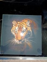 Glasbild Tiger Niedersachsen - Wischhafen Vorschau