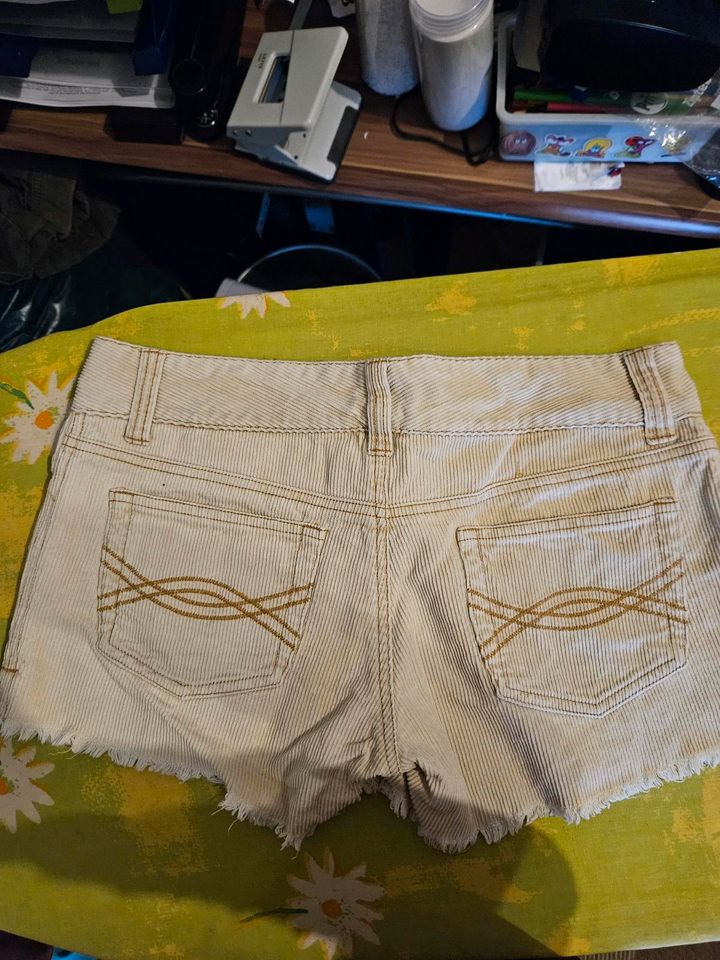 Fishbone Cordshorts in Billerbeck